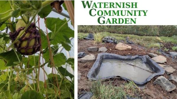 community_garden.jpg